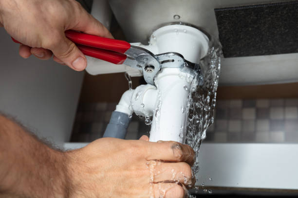 Best Professional water damage repair  in Shelbyville, IN