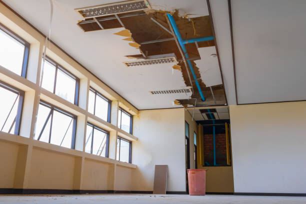 Carpet water damage restoration in Shelbyville, IN