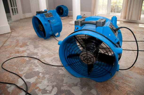 Best Residential water damage restoration  in Shelbyville, IN