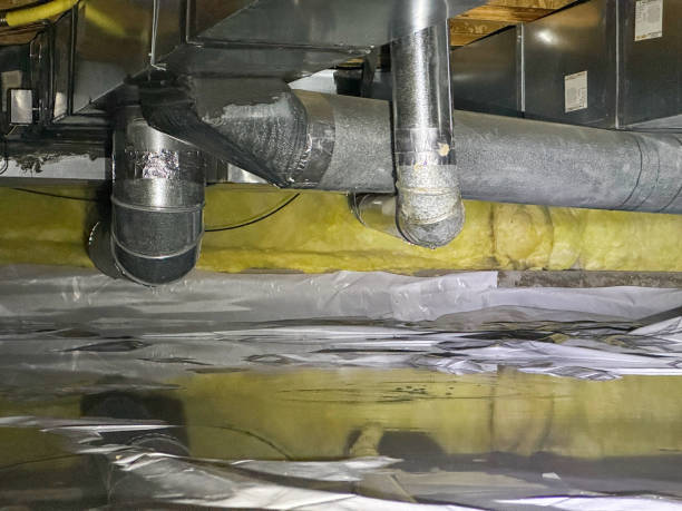 Best Sewage cleanup and water damage restoration  in Shelbyville, IN