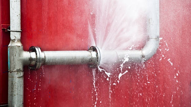 Best Water damage restoration near me  in Shelbyville, IN